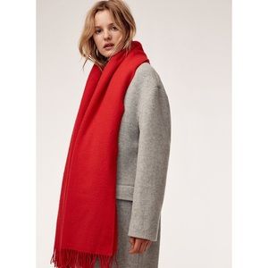 NWT Wilfred Classic Wool Scarf (from Aritzia)